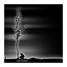 Lade das Bild in den Galerie-Viewer, THTC Hanf T-Shirt Herb n Warrior schwarz